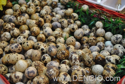 Photo of Fried Quail Eggs on a Stick