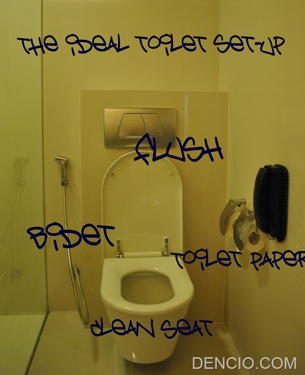 Ideal Toilet Set Up